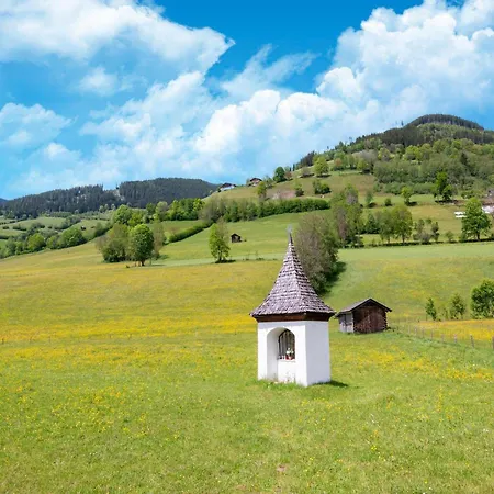 In Near Slopes, Cleaning Included * Piesendorf